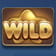 Wild
